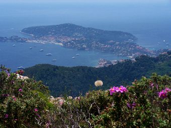 Col d'Eze from Nice